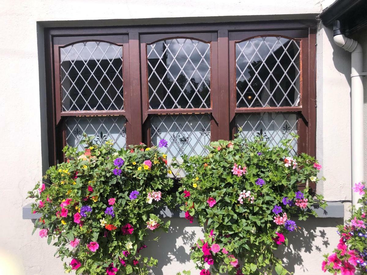 Chester Beatty Inn Ashford Exteriér fotografie